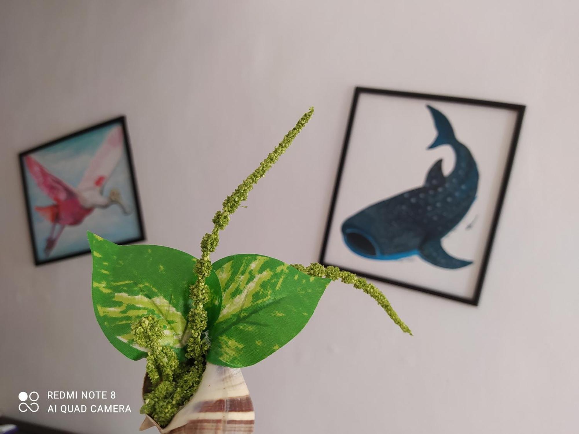 Casa Ohana-Disfruta Del Paraiso Holbox  Eksteriør bilde